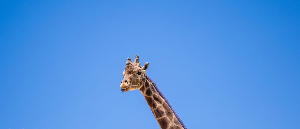 Eurosif reponds to EU’s SFDR 2.0 proposals